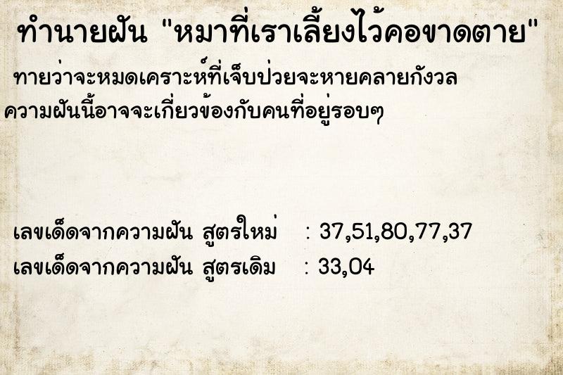 ทำนายฝันหมาที่เราเลี้ยงไว้คอขาดตาย ทำนายฝันทำนายฝันหมาที่เราเลี้ยงไว้คอขาดตาย