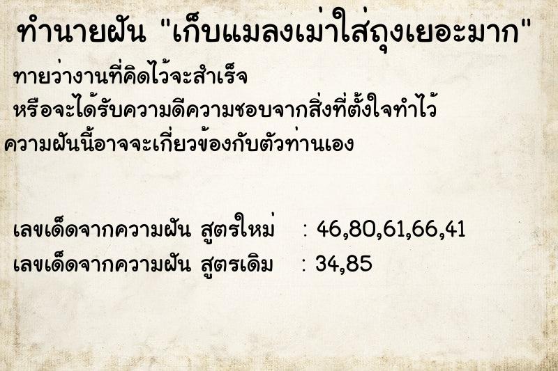 ทำนายฝันทำนายฝันเก็บแมลงเม่าใส่ถุงเยอะมาก