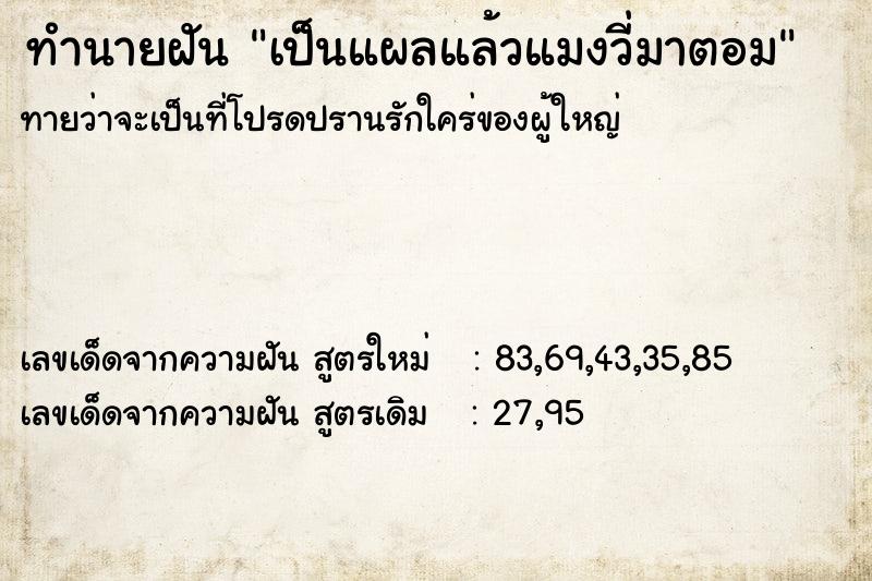 ทำนายฝันทำนายฝันเป็นแผลแล้วแมงวี่มาตอม