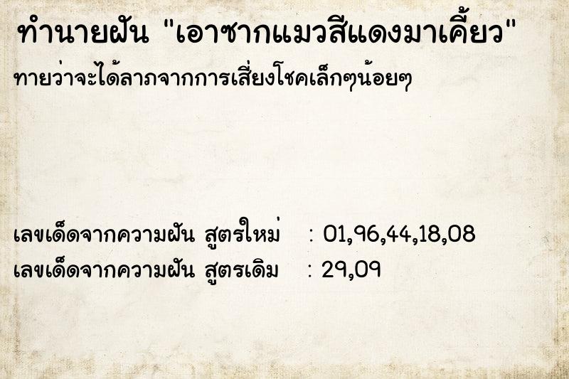 ทำนายฝันทำนายฝันเอาซากแมวสีแดงมาเคี้ยว