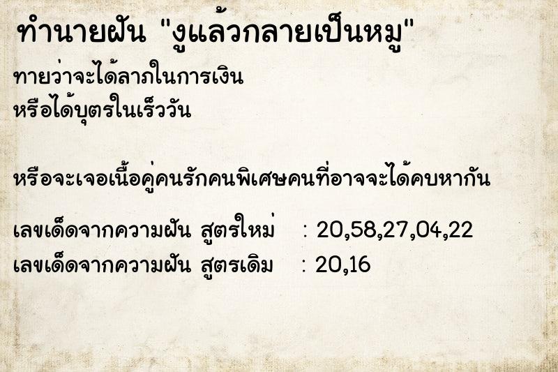 ทำนายฝันงูแล้วกลายเป็นหมู ทำนายฝันทำนายฝันงูแล้วกลายเป็นหมู