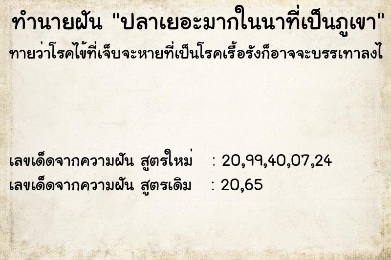 ทำนายฝันทำนายฝันปลาเยอะมากในนาที่เป็นภูเขา
