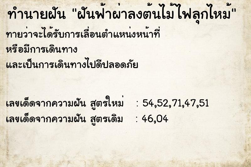 ทำนายฝันฝันฟ้าผ่าลงต้นไม้ไฟลุกไหม้ ทำนายฝันทำนายฝันฝันฟ้าผ่าลงต้นไม้ไฟลุกไหม้