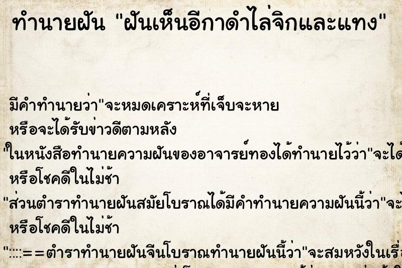 ทำนายฝัน ฝันเห็นอีกาดำไล่จิกและแทง ทำนายฝัน ฝันเห็นอีกาดำไล่จิกและแทง