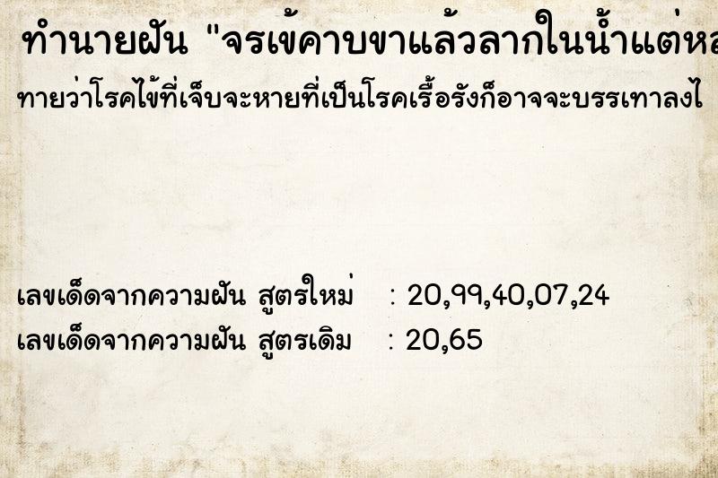 ทำนายฝันทำนายฝันจรเข้คาบขาแล้วลากในน้ำแต่หลุดมาได้