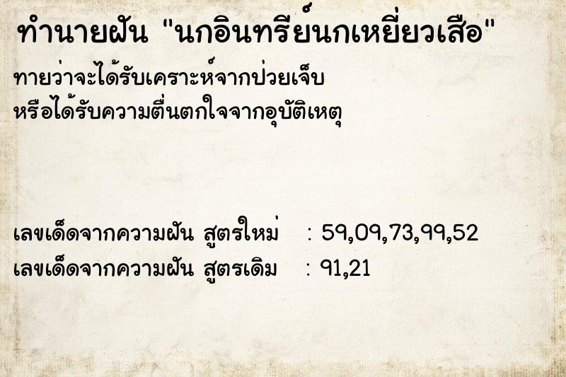 ทำนายฝันนกอินทรีย์นกเหยี่ยวเสือ ทำนายฝันทำนายฝันนกอินทรีย์นกเหยี่ยวเสือ