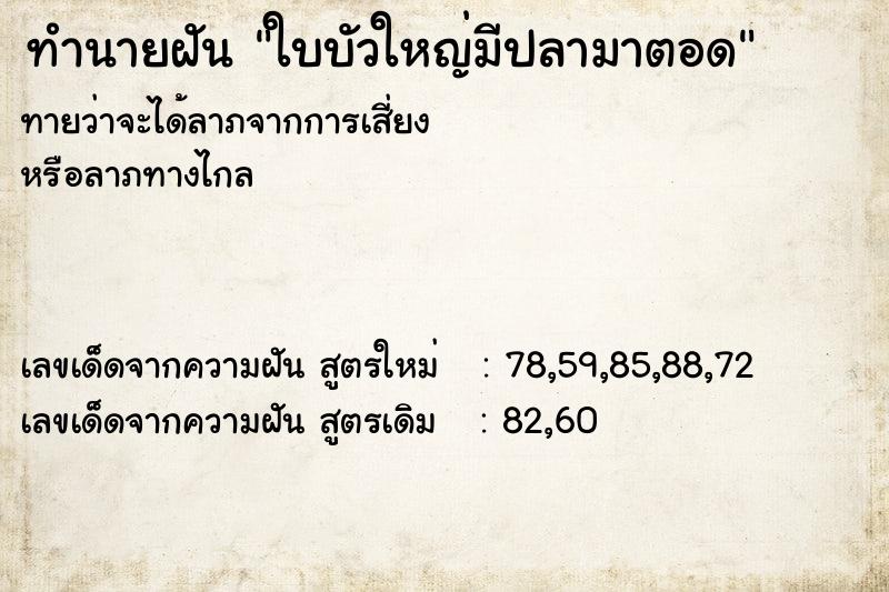 ทำนายฝันใบบัวใหญ่มีปลามาตอด ทำนายฝันทำนายฝันใบบัวใหญ่มีปลามาตอด