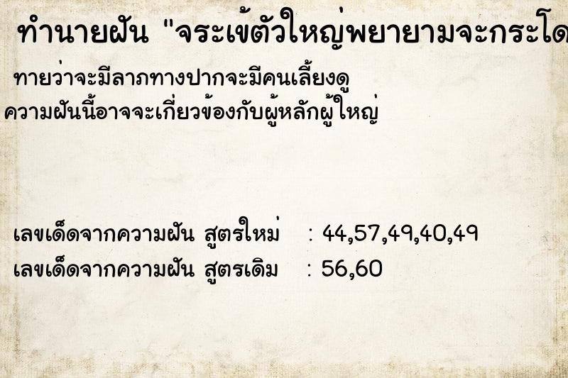 ทำนายฝันจระเข้ตัวใหญ่พยายามจะกระโดดกัดแต่กัดไม่ถึง ทำนายฝันทำนายฝันจระเข้ตัวใหญ่พยายามจะกระโดดกัดแต่กัดไม่ถึง