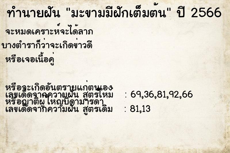 ทำนายฝัน มะขามมีฝักเต็มต้น ทำนายฝัน มะขามมีฝักเต็มต้น