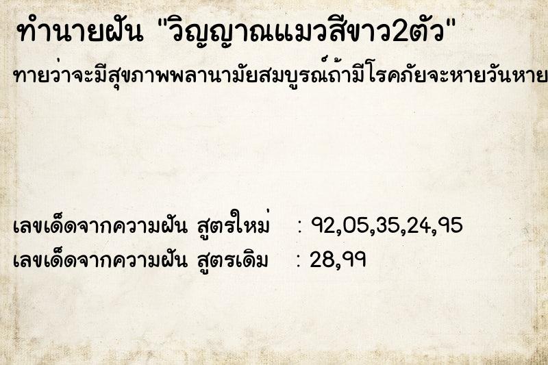 ทำนายฝันทำนายฝันวิญญาณแมวสีขาว2ตัว