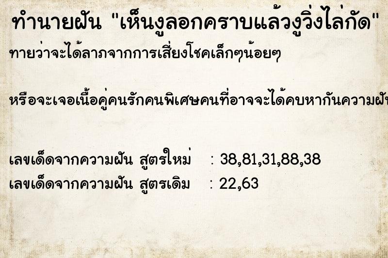 ทำนายฝันทำนายฝันเห็นงูลอกคราบแล้วงูวิ่งไล่กัด