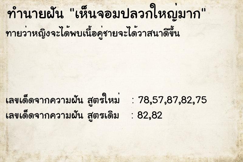 ทำนายฝัน เห็นจอมปลวกใหญ่มาก ทำนายฝัน เห็นจอมปลวกใหญ่มาก