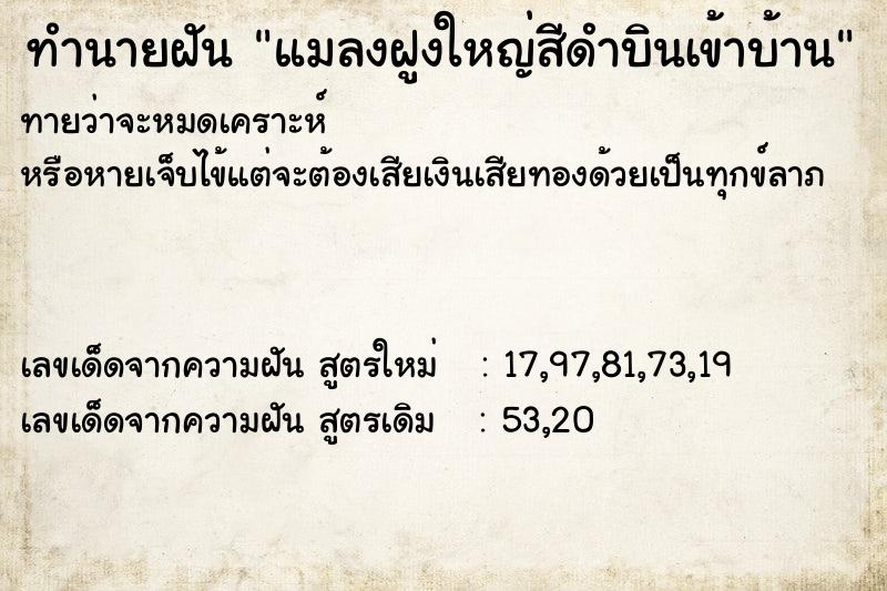 ทำนายฝันทำนายฝันแมลงฝูงใหญ่สีดำบินเข้าบ้าน