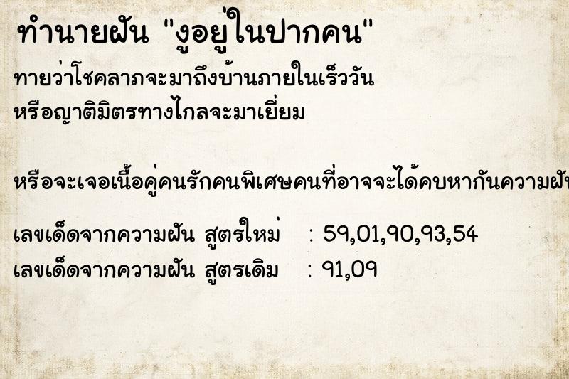 ทำนายฝันงูอยู่ในปากคน ทำนายฝันทำนายฝันงูอยู่ในปากคน