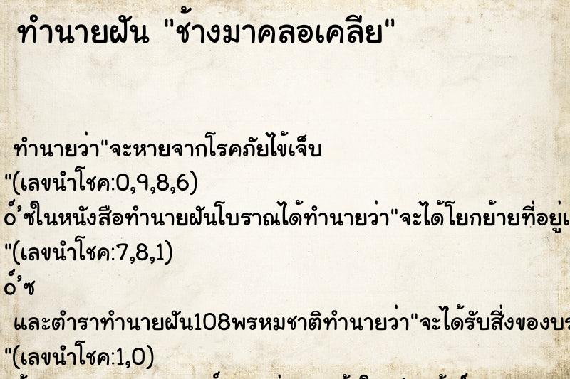 ทำนายฝัน ช้างมาคลอเคลีย ทำนายฝัน ช้างมาคลอเคลีย