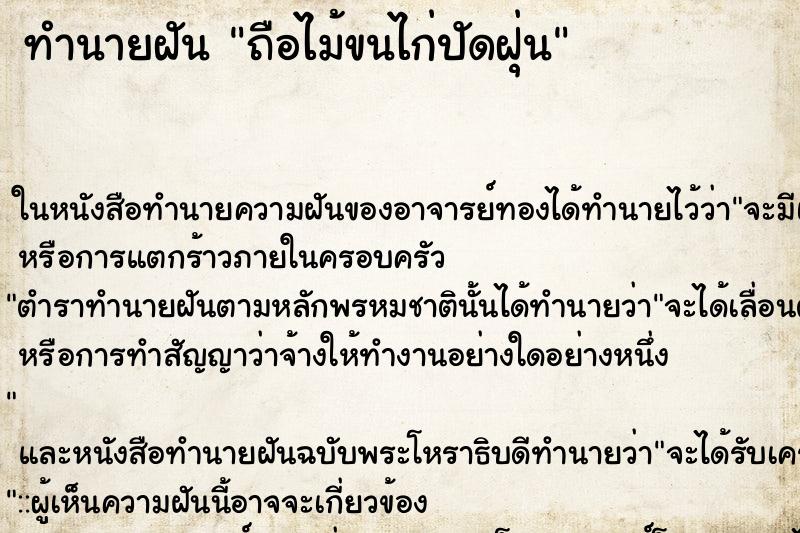 ทำนายฝัน ถือไม้ขนไก่ปัดฝุ่น