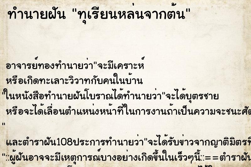 ทำนายฝัน ทุเรียนหล่นจากต้น ทำนายฝัน ทุเรียนหล่นจากต้น