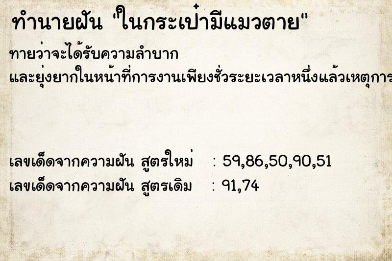 ทำนายฝันทำนายฝันในกระเป๋ามีแมวตาย