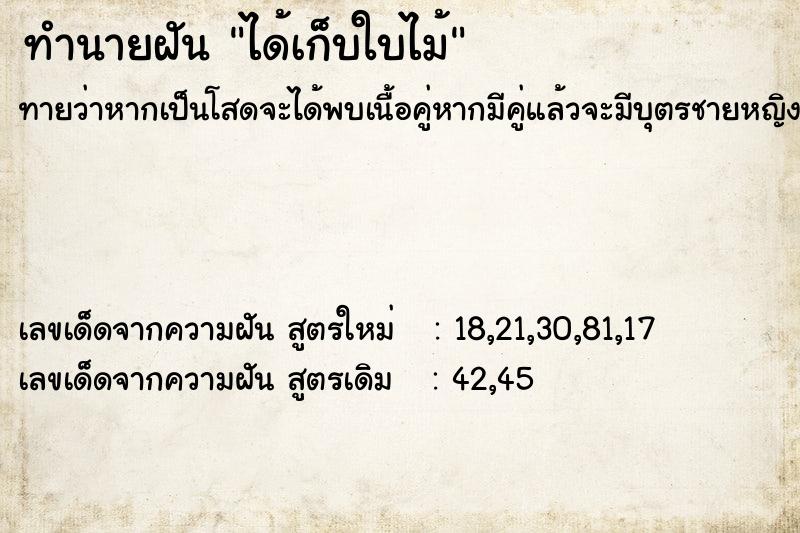 ทำนายฝันได้เก็บใบไม้ ทำนายฝันทำนายฝันได้เก็บใบไม้