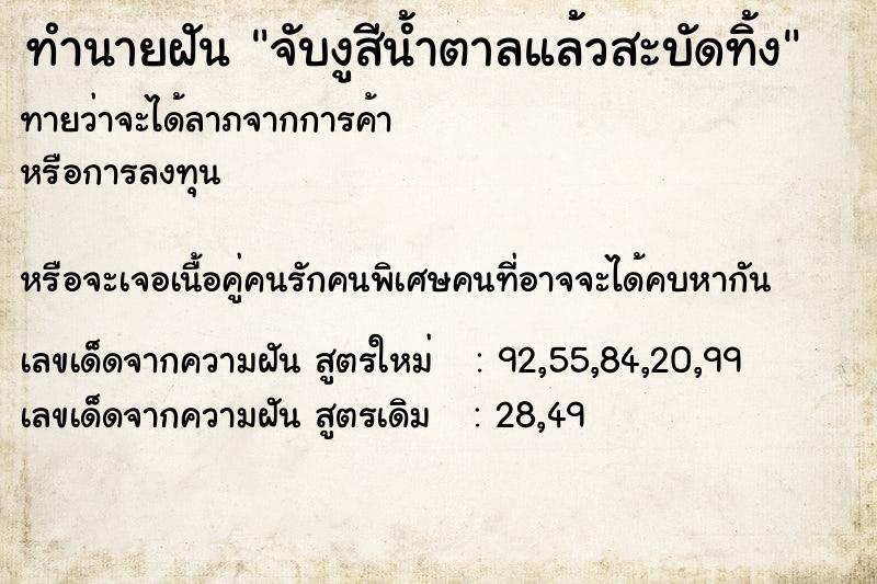 ทำนายฝันทำนายฝันจับงูสีน้ำตาลแล้วสะบัดทิ้ง