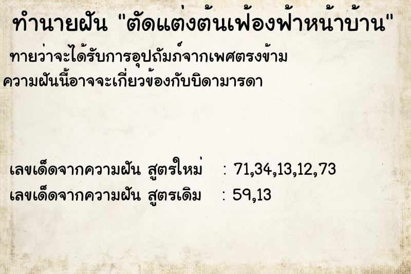 ทำนายฝันตัดแต่งต้นเฟ้องฟ้าหน้าบ้าน ทำนายฝันทำนายฝันตัดแต่งต้นเฟ้องฟ้าหน้าบ้าน