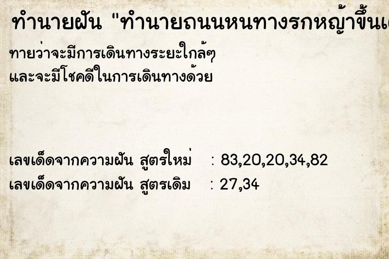ทำนายฝันทำนายถนนหนทางรกหญ้าขึ้นเต็ม ทำนายฝันทำนายฝันทำนายถนนหนทางรกหญ้าขึ้นเต็ม