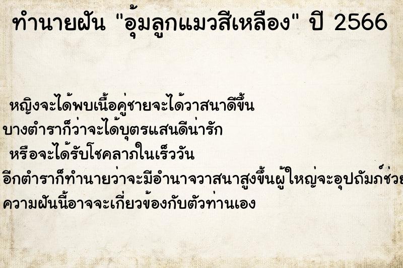 ทำนายฝัน อุ้มลูกแมวสีเหลือง ทำนายฝัน อุ้มลูกแมวสีเหลือง