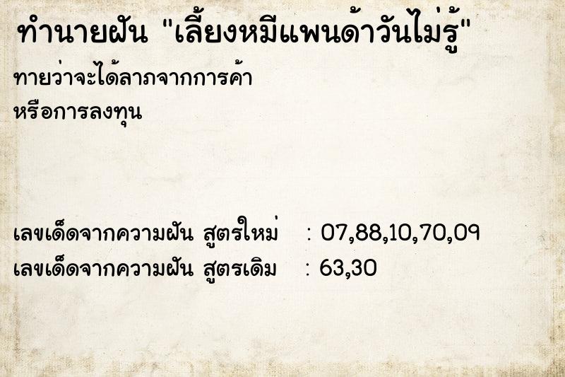 ทำนายฝันทำนายฝันเลี้ยงหมีแพนด้าวันไม่รู้