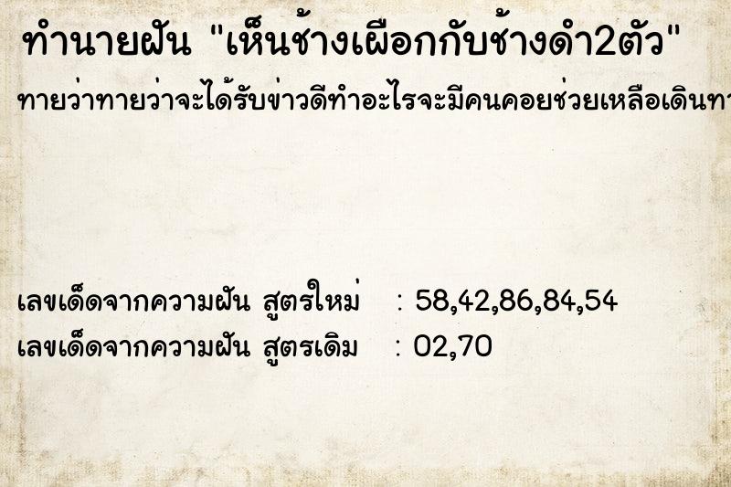 ทำนายฝันทำนายฝันเห็นช้างเผือกกับช้างดำ2ตัว