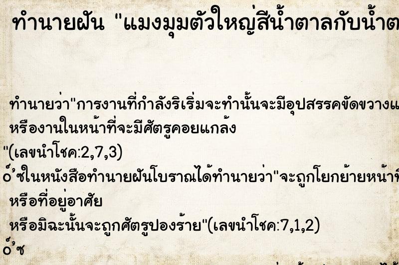 ทำนายฝันแมงมุมตัวใหญ่สีน้ำตาลกับน้ำตาล ทำนายฝันทำนายฝันแมงมุมตัวใหญ่สีน้ำตาลกับน้ำตาล