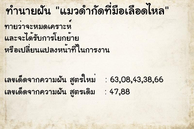 ทำนายฝันแมวดำกัดที่มือเลือดไหล ทำนายฝันทำนายฝันแมวดำกัดที่มือเลือดไหล
