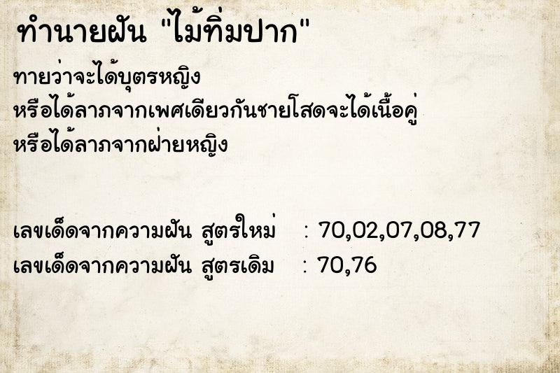 ทำนายฝันทำนายฝันไม้ทิ่มปาก