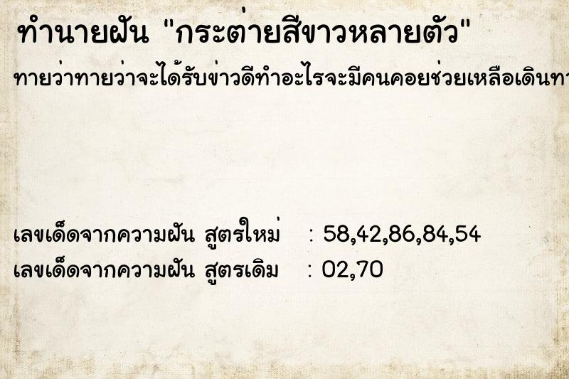 ทำนายฝันกระต่ายสีขาวหลายตัว ทำนายฝันทำนายฝันกระต่ายสีขาวหลายตัว