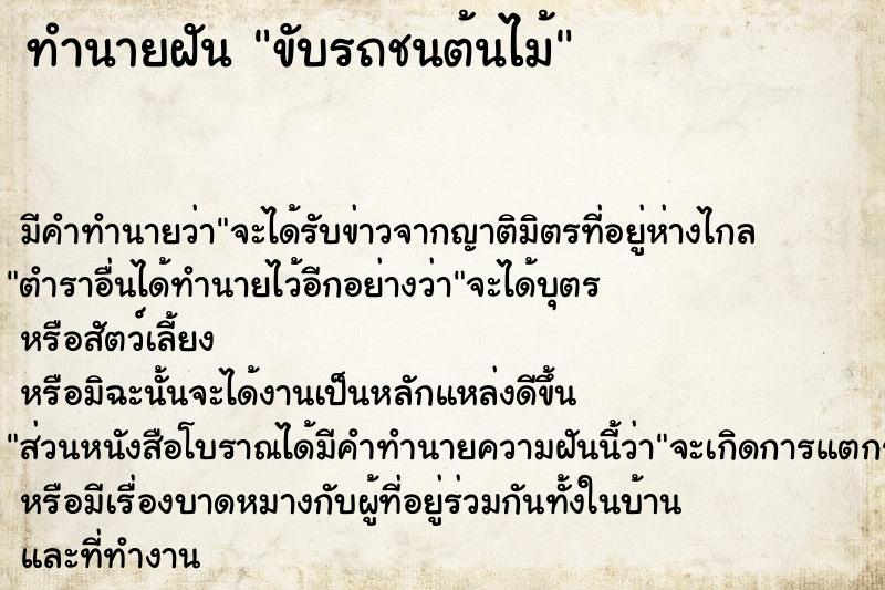ทำนายฝัน ขับรถชนต้นไม้ ทำนายฝัน ขับรถชนต้นไม้