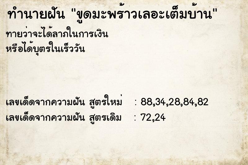 ทำนายฝันทำนายฝันขูดมะพร้าวเลอะเต็มบ้าน