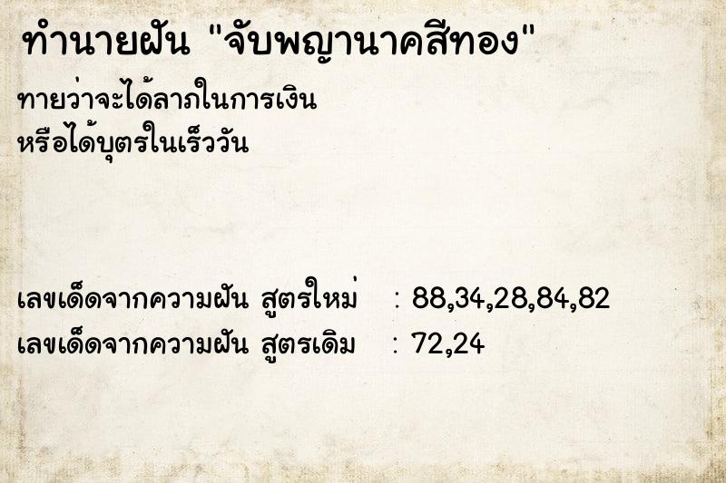 ทำนายฝันทำนายฝันจับพญานาคสีทอง