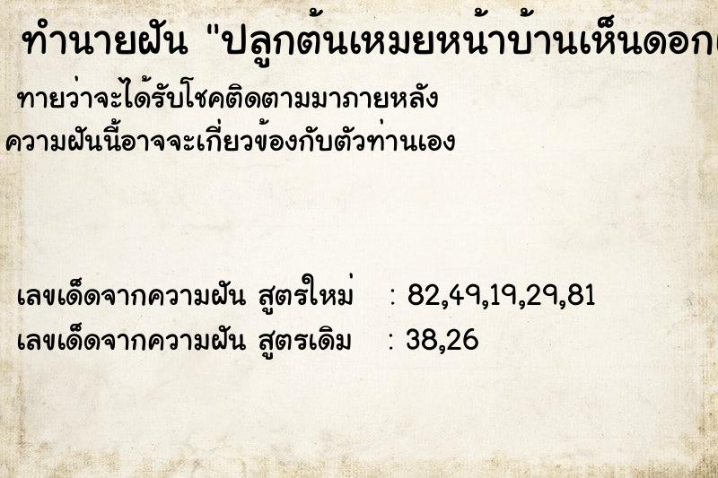 ทำนายฝันทำนายฝันปลูกต้นเหมยหน้าบ้านเห็นดอกเหมยออกดอกบานสพรั่ง