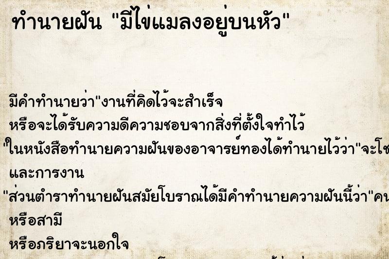 ทำนายฝัน มีไข่แมลงอยู่บนหัว ทำนายฝัน มีไข่แมลงอยู่บนหัว