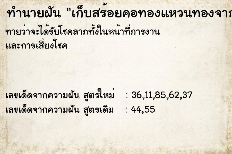 ทำนายฝันทำนายฝันเก็บสร้อยคอทองแหวนทองจากใต้น้ำ