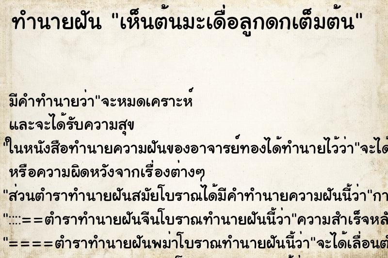 ทำนายฝัน เห็นต้นมะเดื่อลูกดกเต็มต้น ทำนายฝัน เห็นต้นมะเดื่อลูกดกเต็มต้น