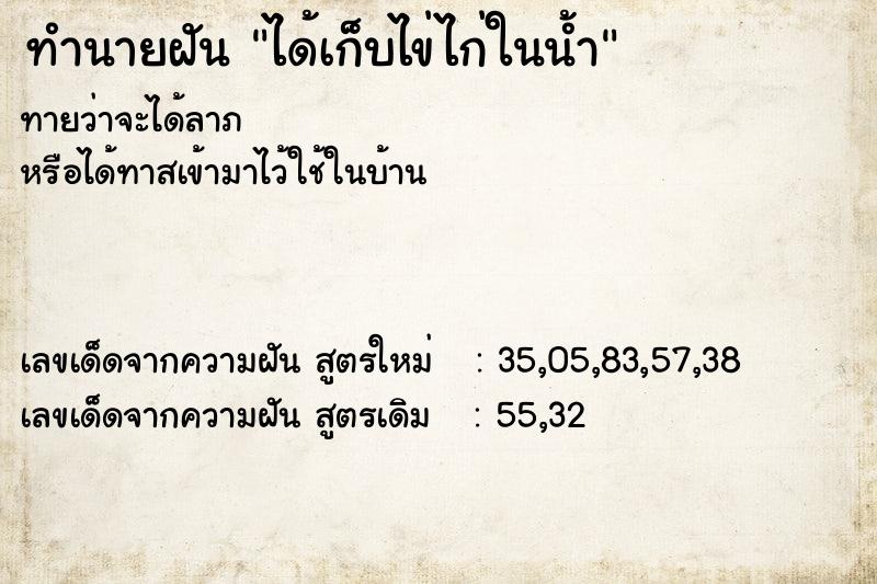 ทำนายฝันได้เก็บไข่ไก่ในน้ำ ทำนายฝันทำนายฝันได้เก็บไข่ไก่ในน้ำ