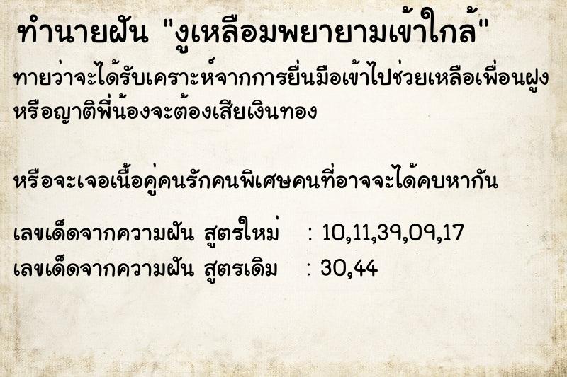 ทำนายฝันงูเหลือมพยายามเข้าใกล้ ทำนายฝันทำนายฝันงูเหลือมพยายามเข้าใกล้