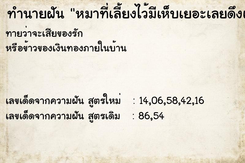 ทำนายฝัน หมาที่เลี้ยงไว้มีเห็บเยอะเลยดึงเห็บออก ทำนายฝัน หมาที่เลี้ยงไว้มีเห็บเยอะเลยดึงเห็บออก
