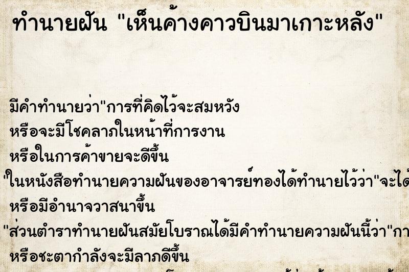 ทำนายฝัน เห็นค้างคาวบินมาเกาะหลัง ทำนายฝัน เห็นค้างคาวบินมาเกาะหลัง