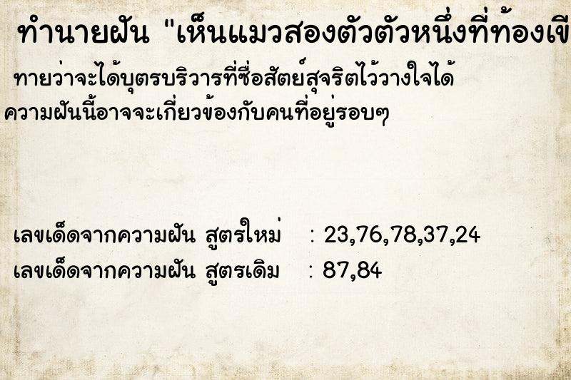 ทำนายฝันเห็นแมวสองตัวตัวหนึ่งที่ท้องเขียนกฏแห่งกรรม ทำนายฝันทำนายฝันเห็นแมวสองตัวตัวหนึ่งที่ท้องเขียนกฏแห่งกรรม