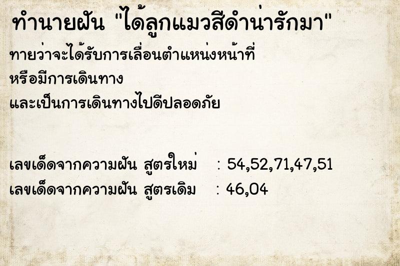 ทำนายฝันได้ลูกแมวสีดำน่ารักมา ทำนายฝันทำนายฝันได้ลูกแมวสีดำน่ารักมา