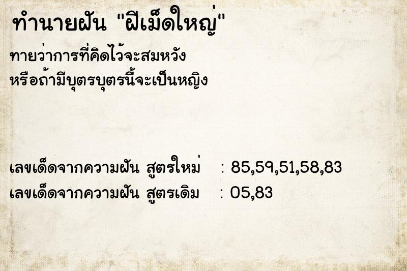 ทำนายฝันฝีเม็ดใหญ่ ทำนายฝันทำนายฝันฝีเม็ดใหญ่