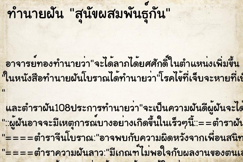 ทำนายฝัน สุนัขผสมพันธุ์กัน ทำนายฝัน สุนัขผสมพันธุ์กัน