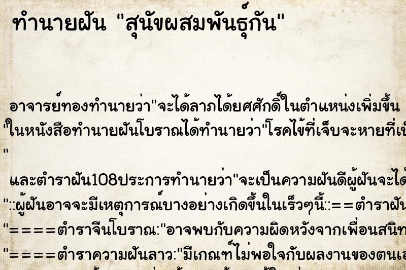 ทำนายฝัน สุนัขผสมพันธุ์กัน ตำราโบราณ แม่นที่สุดในโลก