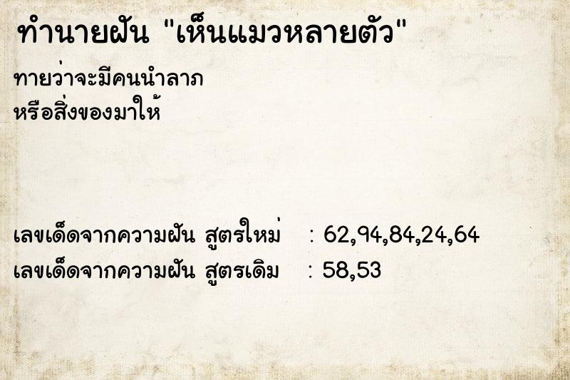 ทำนายฝัน เห็นแมวหลายตัว ทำนายฝัน เห็นแมวหลายตัว